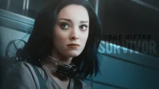 SURVIVOR || The Gifted