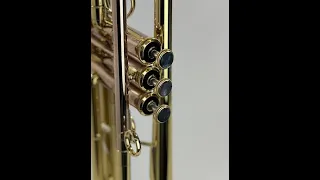 Andrea Giuffredi "Commerical" Model horn demo!