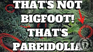 The BIGGEST ISSUE in BIGFOOT RESEARCH today || IMPORTANT || Watch till the end