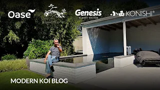 Modern Koi Blog #6107 - Daniel und Markus’ leicht eingetrübter Koiteich