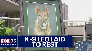 Police K9 dog laid to rest after being shot, killed in line of duty