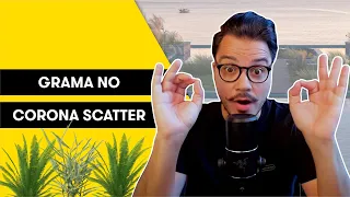 DISTRIBUIÇÃO DE GRAMA COM O SCATTER | CORONA RENDERER | 3DSMAX