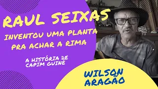 Wilson Aragão, Raul Seixas e a história de CAPIM GUINÉ!