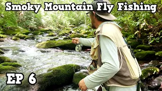 Fly Fishing The Smokies| Little River | EP 6