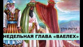 Недельная глава  Ваелех. Рав Ицхак Зильбер