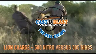 LION CHARGES FULL SPEED - 500 NITRO VERSUS 505 GIBBS