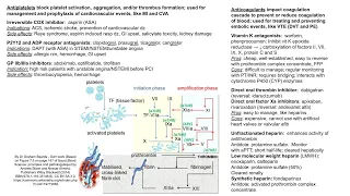 Antiplatelet agents vs anticoagulant drugs