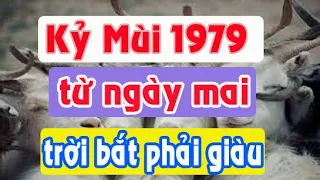 SỰ THẤT TUYỆT VỜI tuổi Kỷ Mùi 1979 từ ngày mai TRỜI BẮT PHẢI GIÀU