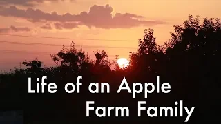 Life as an Apple Orchard Family