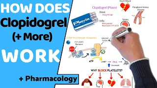 How Does Clopidogrel (Anti-platelets) Work? (+ Pharmacology)