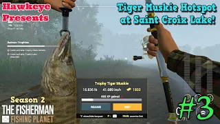 The Fisherman - Fishing Planet - Season 2: Tiger Muskie Hotspot at Saint Croix Lake!