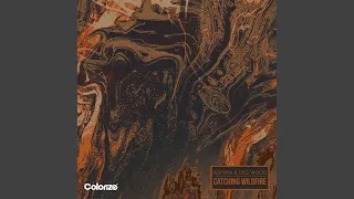 Catching Wildfire (Extended Mix)