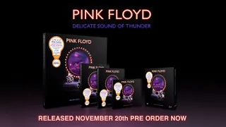 Pink Floyd - Delicate Sound Of Thunder (Unboxing Video)