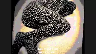 Pearl Jam - Black - video with lyrics