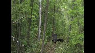 Bear Rifle Hunt Minnesota 2021