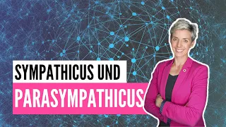 Sympathicus und Parasympathicus: Das ist der Unterschied!