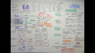 Fluid Management I - Body Fluid Compartments, Osmolality v Tonicity & Fluid Types