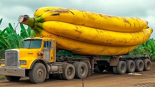 15 Biggest Fruits & Vegetables Ever Created!