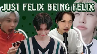 felix being stray kid's UNOFFICIAL PABORACHA MEMBER