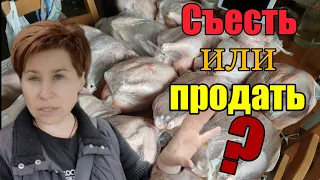 Доделала прудик》Я "деревня"🤦‍♀️》Кошу и вяжу