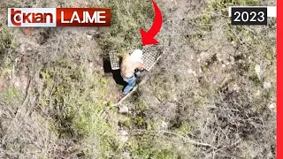 Tv Klan - Mbjellja e kanabisit gjurmohet me drone | Lajme News