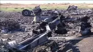 MH17 Crash Probe: Dutch Safety Board expects final crash report in October