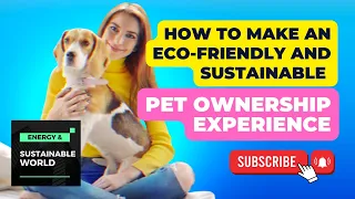 How to Make an Eco-friendly and Sustainable Pet Ownership Experience