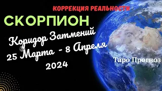 СКОРПИОН♏КОРИДОР ЗАТМЕНИЙ 25 МАРТА - 8 АПРЕЛЯ 2024🌈НАВЕДЕНИЕ ПОРЯДКА✔️ПРОГНОЗ ТАРО Ispirazione