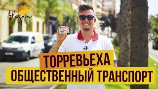 Общественный транспорт в Торревьехе. Жизнь в Испании