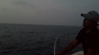 Shark takes of my fish and jig in Andaman