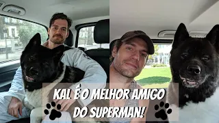 Henry Cavill leva seu cão para todos os lugares e o motivo é muito especial | Famosos | VIX Icons