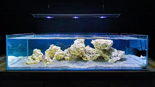 Setting up a Shallow Coral Reef Tank