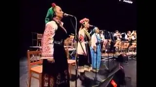 Goran Bregovic & Ogi Radivojevic - Cajesukarije Cocek - (LIVE)