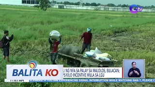 P22-P23/kilo ang bili ng NFA sa palay sa Malolos, Bulacan; may dagdag ding P5/kilo incentive... | BK