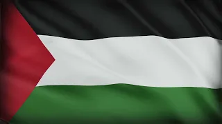 Palestine Flag Waving | Palestine Flag Background Video