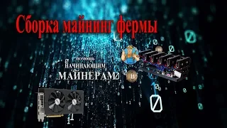 Сборка бюджетной фермы для майнинга (Помощь начинающим майнерам)