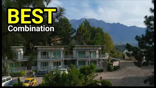 BEST Vacation In The Jungle | Celyn Resort Kinabalu | Kundasang SABAH