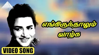 எங்கிருந்தாலும் வாழ்க HD Video Song | நெஞ்சில் ஓர் ஆலயம் | கல்யாண் குமார்