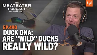 Duck DNA Are "Wild Ducks Really Wild?" | MeatEater Podcast