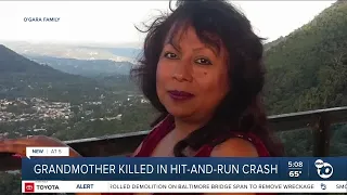 Family finds body after Spring Valley grandmother killed in hit-and-run crash