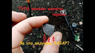 Тула,поиск монет в полях с металлоискателем x-terra 705 .