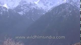 Travelling from Pooh to Nako in Kinnaur district near Indo-China border