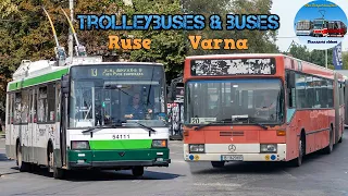 Buses & Trolleybuses in Ruse & Varna 🇧🇬 | August 2022🚌🚎