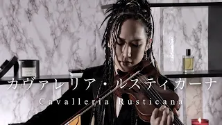 『カヴァレリア・ルスティカーナ』より間奏曲 マスカーニ Cavalleria Rusticana / Pietro Mascagni (Violin) ヴァイオリン演奏【弓代星空】