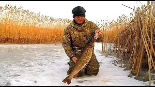 Жерлицы. Рыбалка на щуку. Зимняя разведка по щучьим местам. Оставил жерлицы на ночь.