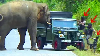 Shocking Elephant Attack On Cab Passenger Caught On Camera
