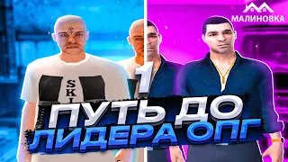 ПУТЬ ДО ЛИДЕРА ОПГ НА МАЛИНОВКА РП В GTA CRMP #1