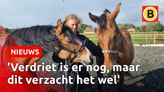 Pony's doodgereden: Sanne krijgt nieuwe dieren | Omroep Brabant