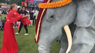 Bollywood Elephant Stilt