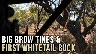 Big Brow Tines and First Whitetail Deer